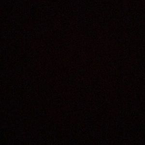 Meet your Posher, Rosie